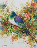 Kereru in Karamu painting by Sue Graham